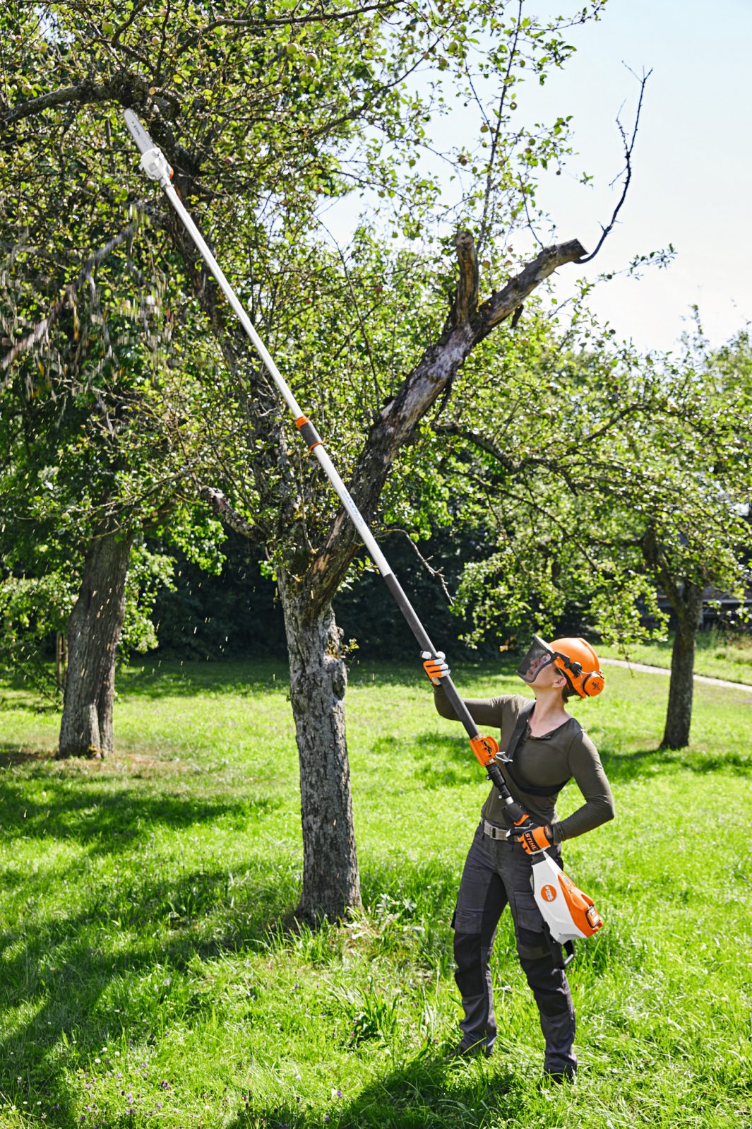 STIHL® HTA 135 Cordless Pole Pruner - AP System
