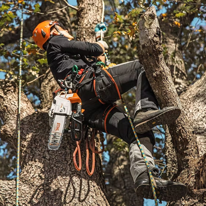 STIHL® MSA 220 TC-O Top Handle Chainsaw