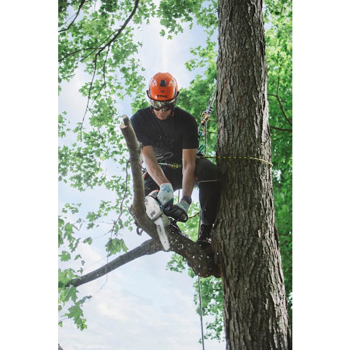STIHL® MS151T C-E